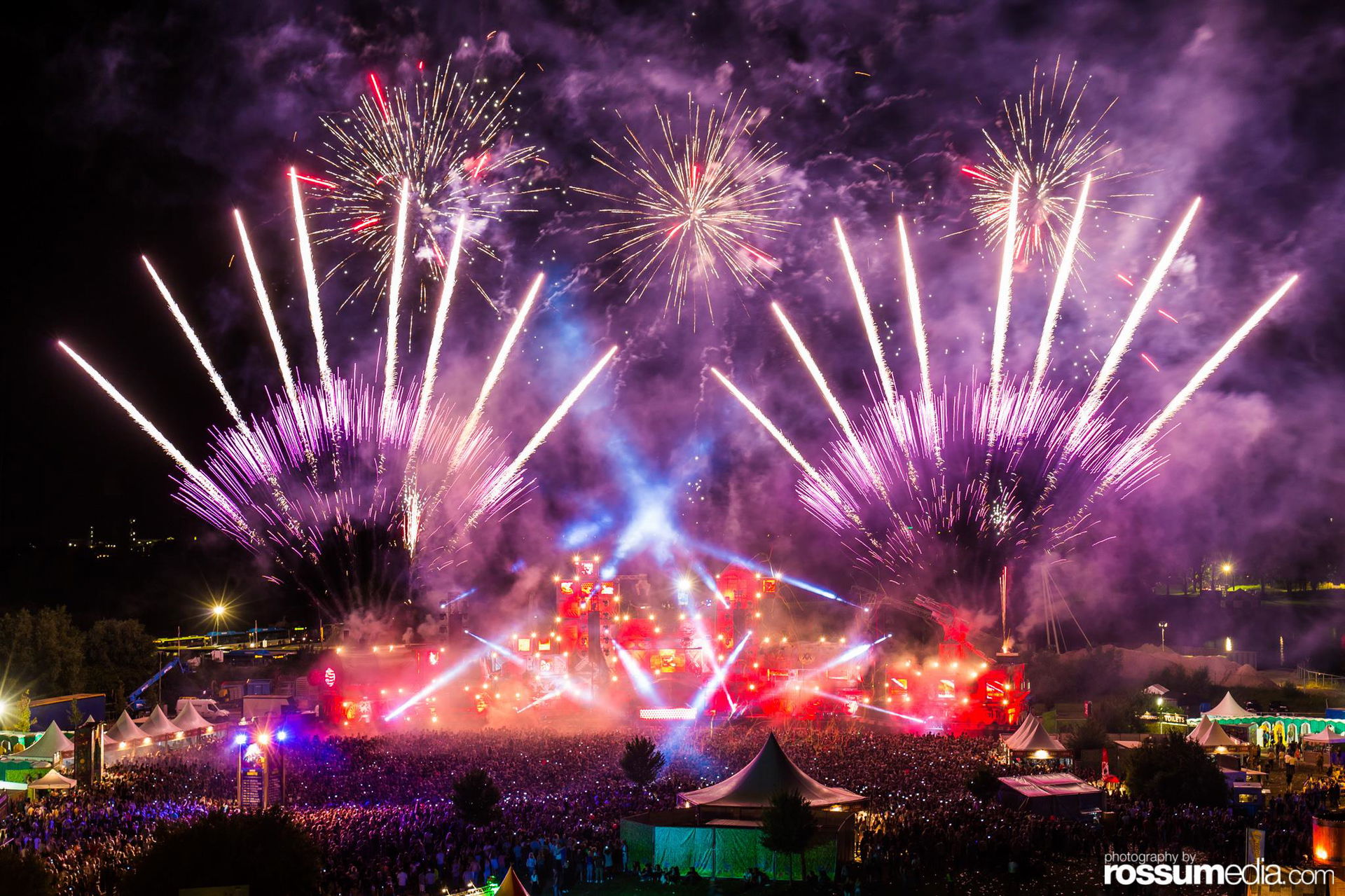 dreamfields